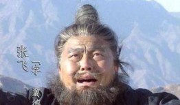 张飞爆料妲己视频